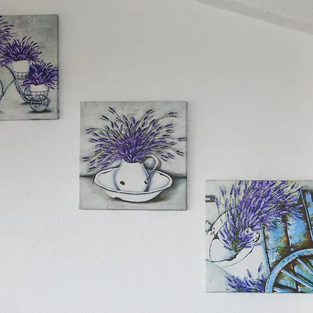 Island Breeze M - Zf Hvar Hvar Town