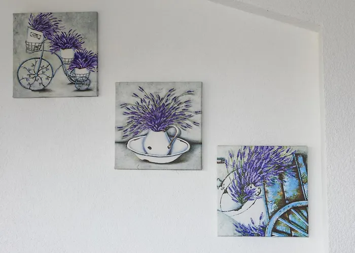 Island Breeze M - Zf Hvar フヴァル